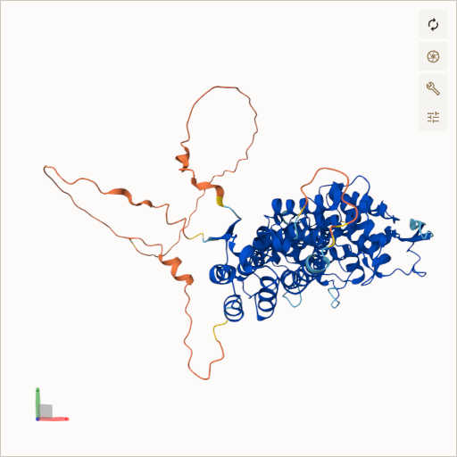Predicted ribbon structure of MEN1 (O00255) — coloured by sequence position from N-terminus (blue) to C-terminus (red)