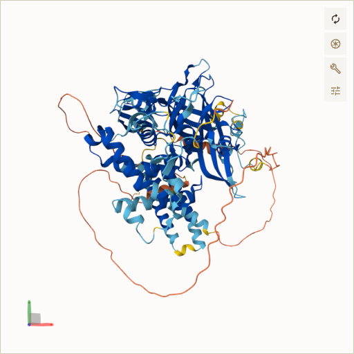Predicted ribbon structure of NPHP1 (O15259) — coloured by sequence position from N-terminus (blue) to C-terminus (red)