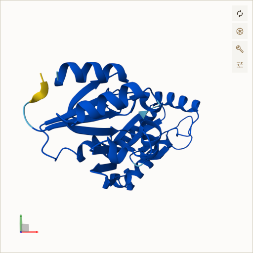 Predicted ribbon structure of PMM2 (O15305) — coloured by sequence position from N-terminus (blue) to C-terminus (red)