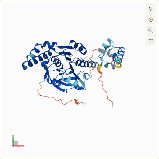 Predicted ribbon structure of RAD51C (O43502) — coloured by sequence position from N-terminus (blue) to C-terminus (red)