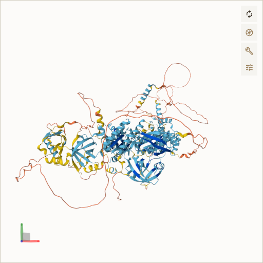 Predicted ribbon structure of PEX1 (O43933) — coloured by sequence position from N-terminus (blue) to C-terminus (red)