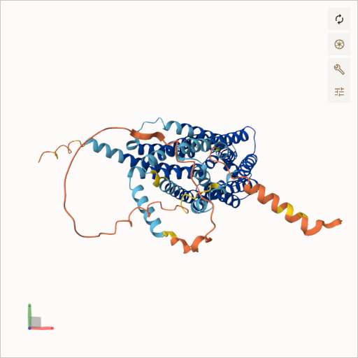 Predicted ribbon structure of SLC19A2 (O60779) — coloured by sequence position from N-terminus (blue) to C-terminus (red)