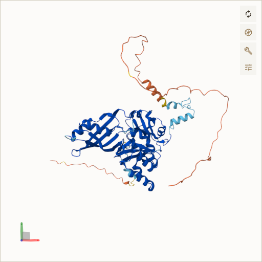 Predicted ribbon structure of DKC1 (O60832) — coloured by sequence position from N-terminus (blue) to C-terminus (red)