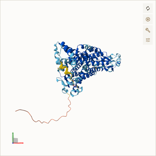 Predicted ribbon structure of SLC22A5 (O76082) — coloured by sequence position from N-terminus (blue) to C-terminus (red)