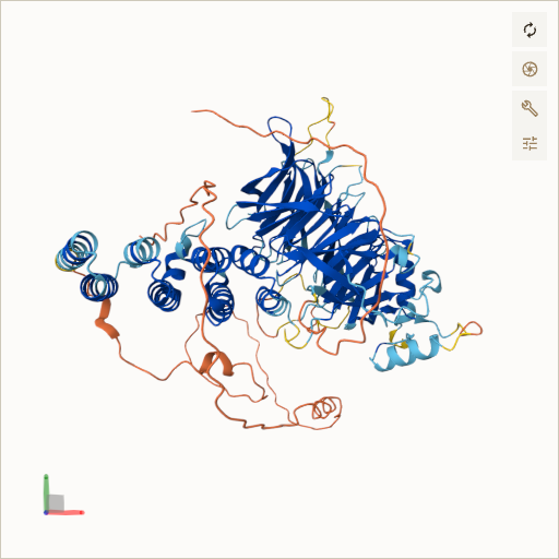 Predicted ribbon structure of WDPCP (O95876) — coloured by sequence position from N-terminus (blue) to C-terminus (red)