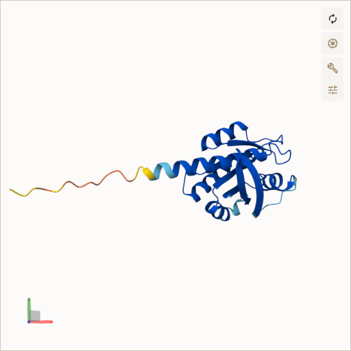 Predicted ribbon structure of NRAS (P01111) — coloured by sequence position from N-terminus (blue) to C-terminus (red)