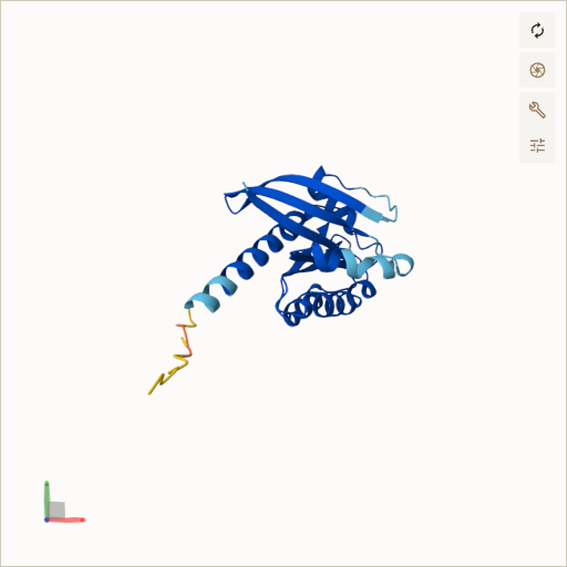 Predicted ribbon structure of KRAS (P01116) — coloured by sequence position from N-terminus (blue) to C-terminus (red)