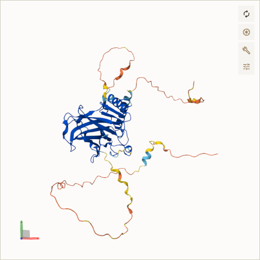 Predicted ribbon structure of TP53 (P04637) — coloured by sequence position from N-terminus (blue) to C-terminus (red)