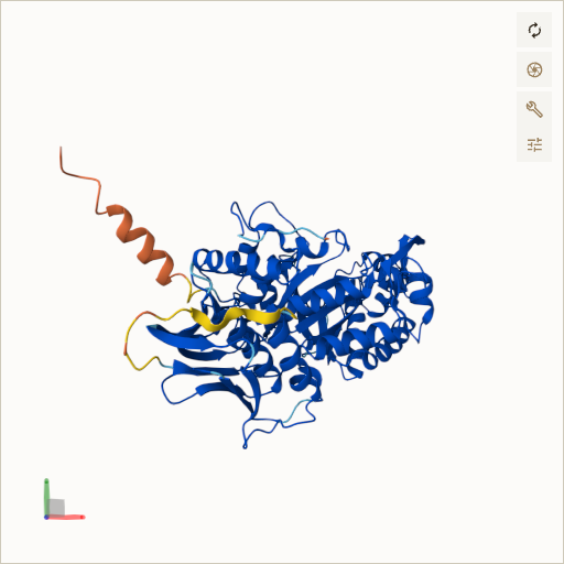 Predicted ribbon structure of HEXA (P06865) — coloured by sequence position from N-terminus (blue) to C-terminus (red)