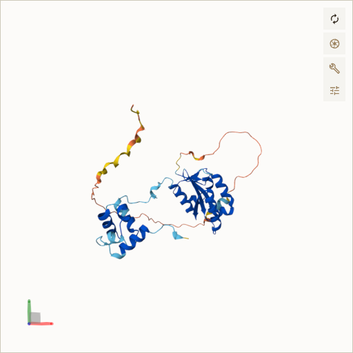 Predicted ribbon structure of ERCC1 (P07992) — coloured by sequence position from N-terminus (blue) to C-terminus (red)