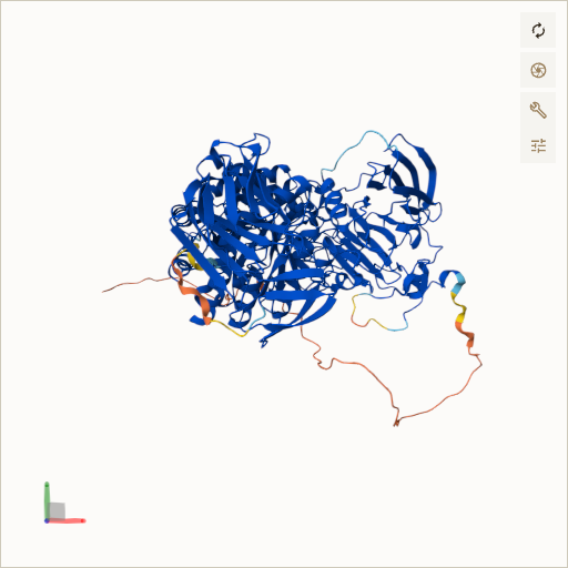 Predicted ribbon structure of GAA (P10253) — coloured by sequence position from N-terminus (blue) to C-terminus (red)