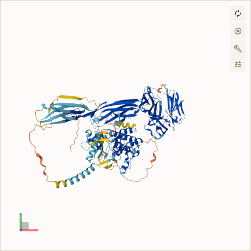 Predicted ribbon structure of KIT (P10721) — coloured by sequence position from N-terminus (blue) to C-terminus (red)