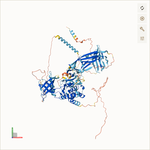Predicted ribbon structure of FGFR1 (P11362) — coloured by sequence position from N-terminus (blue) to C-terminus (red)