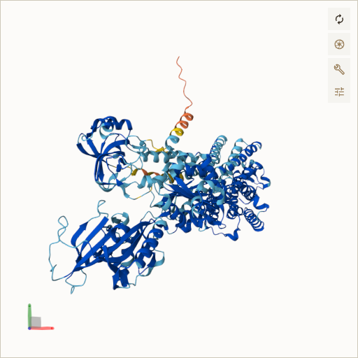 Predicted ribbon structure of ATP1A3 (P13637) — coloured by sequence position from N-terminus (blue) to C-terminus (red)