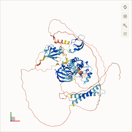 Predicted ribbon structure of BRAF (P15056) — coloured by sequence position from N-terminus (blue) to C-terminus (red)