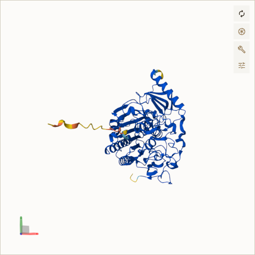 Predicted ribbon structure of ARSA (P15289) — coloured by sequence position from N-terminus (blue) to C-terminus (red)