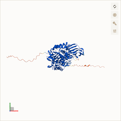 Predicted ribbon structure of GLB1 (P16278) — coloured by sequence position from N-terminus (blue) to C-terminus (red)