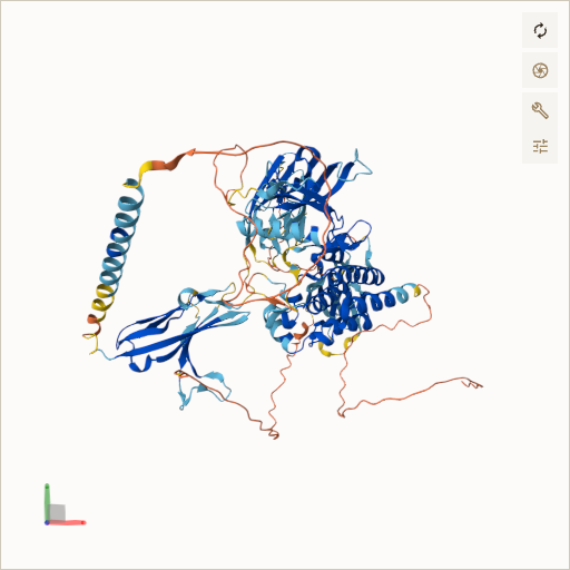 Predicted ribbon structure of FGFR3 (P22607) — coloured by sequence position from N-terminus (blue) to C-terminus (red)