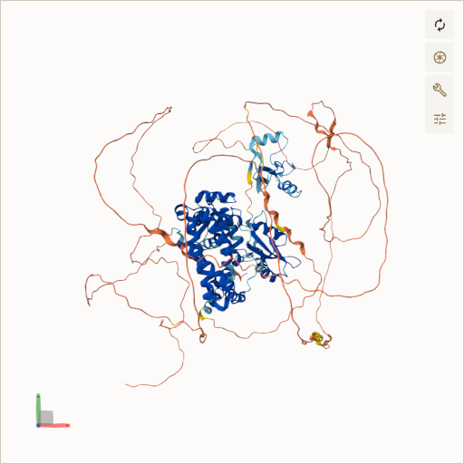 Predicted ribbon structure of CBL (P22681) — coloured by sequence position from N-terminus (blue) to C-terminus (red)
