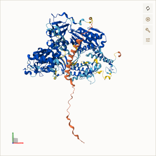 Predicted ribbon structure of POLD1 (P28340) — coloured by sequence position from N-terminus (blue) to C-terminus (red)