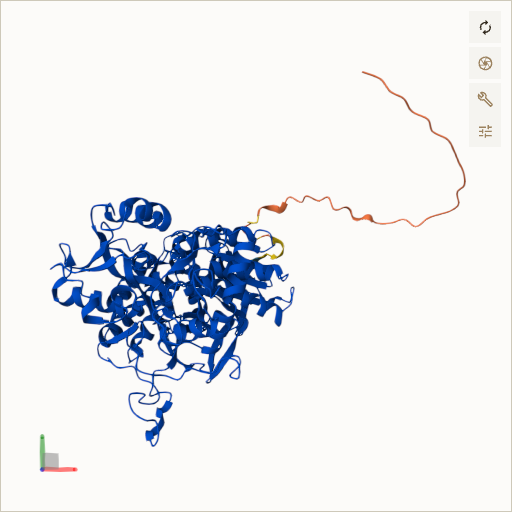 Predicted ribbon structure of SDHA (P31040) — coloured by sequence position from N-terminus (blue) to C-terminus (red)