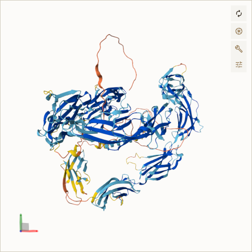 Predicted ribbon structure of L1CAM (P32004) — coloured by sequence position from N-terminus (blue) to C-terminus (red)
