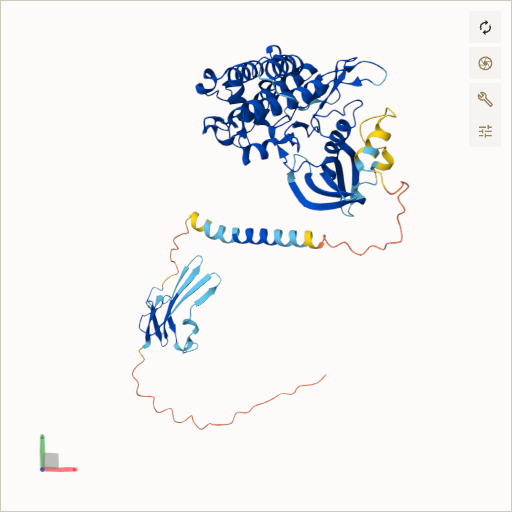 Predicted ribbon structure of TGFBR1 (P36897) — coloured by sequence position from N-terminus (blue) to C-terminus (red)