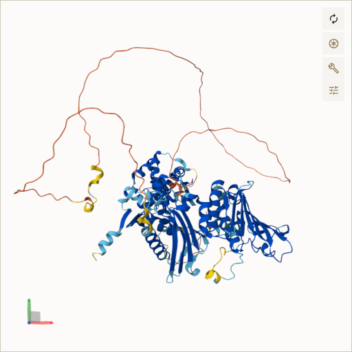 Predicted ribbon structure of MLH1 (P40692) — coloured by sequence position from N-terminus (blue) to C-terminus (red)