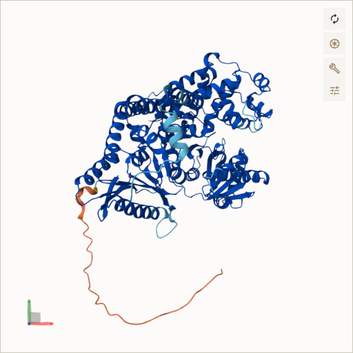 Predicted ribbon structure of HADHA (P40939) — coloured by sequence position from N-terminus (blue) to C-terminus (red)