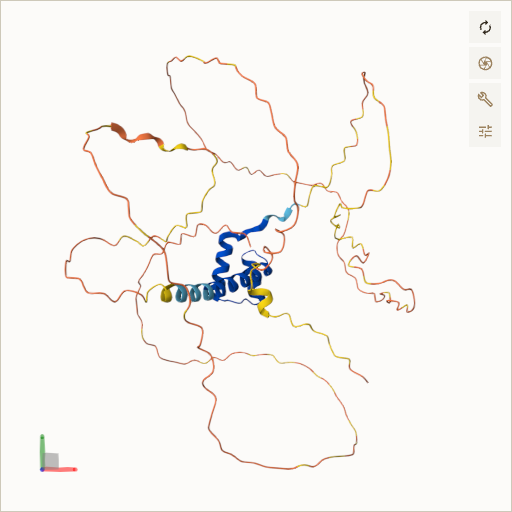 Predicted ribbon structure of NKX2-1 (P43699) — coloured by sequence position from N-terminus (blue) to C-terminus (red)
