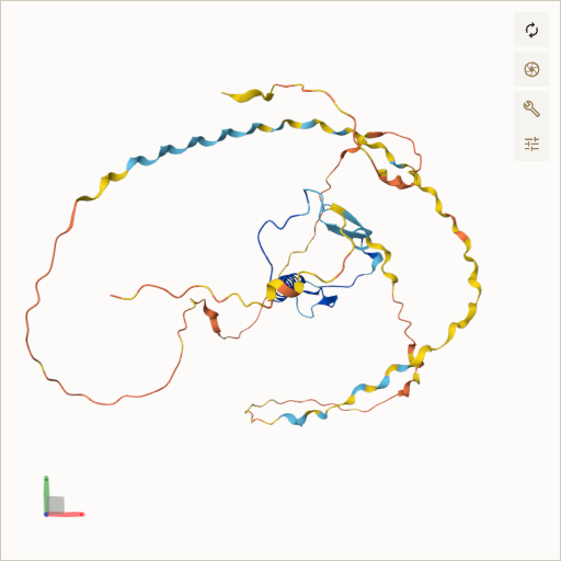 Predicted ribbon structure of CDKN1C (P49918) — coloured by sequence position from N-terminus (blue) to C-terminus (red)
