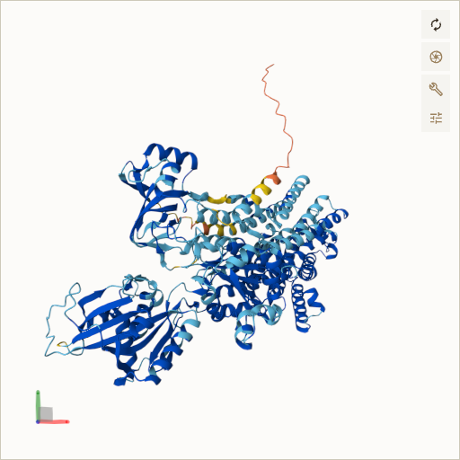 Predicted ribbon structure of ATP1A2 (P50993) — coloured by sequence position from N-terminus (blue) to C-terminus (red)