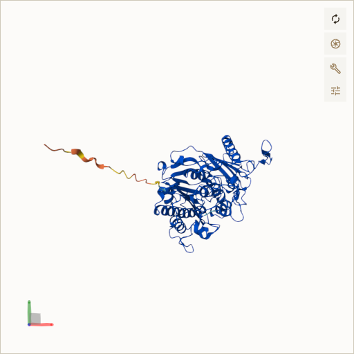 Predicted ribbon structure of SGSH (P51688) — coloured by sequence position from N-terminus (blue) to C-terminus (red)