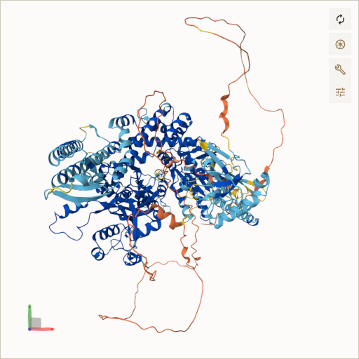Predicted ribbon structure of MSH6 (P52701) — coloured by sequence position from N-terminus (blue) to C-terminus (red)