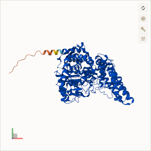 Predicted ribbon structure of NAGLU (P54802) — coloured by sequence position from N-terminus (blue) to C-terminus (red)