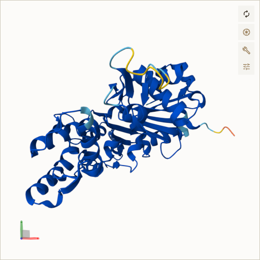 Predicted ribbon structure of ACTB (P60709) — coloured by sequence position from N-terminus (blue) to C-terminus (red)