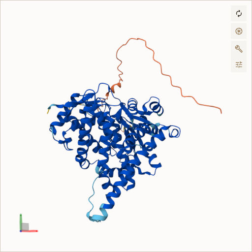 Predicted ribbon structure of CYP27A1 (Q02318) — coloured by sequence position from N-terminus (blue) to C-terminus (red)