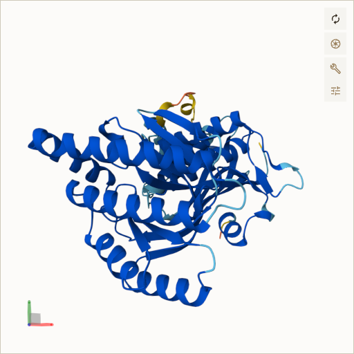 Predicted ribbon structure of MVK (Q03426) — coloured by sequence position from N-terminus (blue) to C-terminus (red)