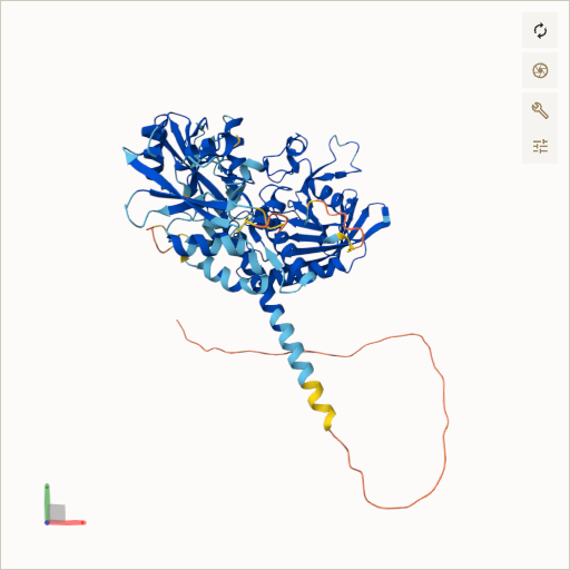 Predicted ribbon structure of PTPN11 (Q06124) — coloured by sequence position from N-terminus (blue) to C-terminus (red)