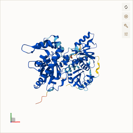 Predicted ribbon structure of COASY (Q13057) — coloured by sequence position from N-terminus (blue) to C-terminus (red)