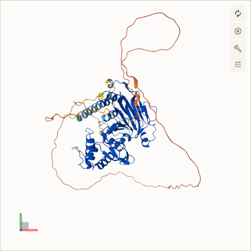 Predicted ribbon structure of SMAD4 (Q13485) — coloured by sequence position from N-terminus (blue) to C-terminus (red)