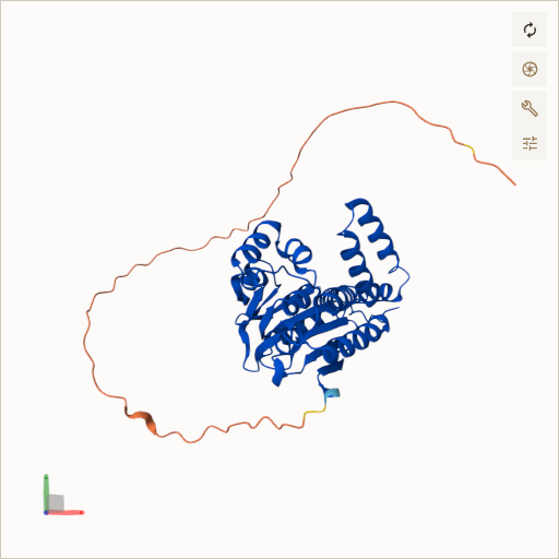 Predicted ribbon structure of AUH (Q13825) — coloured by sequence position from N-terminus (blue) to C-terminus (red)