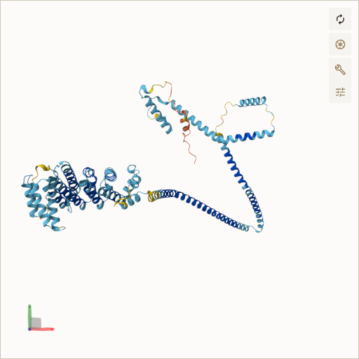 Predicted ribbon structure of IQCB1 (Q15051) — coloured by sequence position from N-terminus (blue) to C-terminus (red)