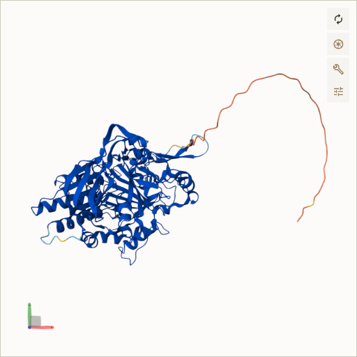 Predicted ribbon structure of ETFDH (Q16134) — coloured by sequence position from N-terminus (blue) to C-terminus (red)