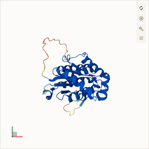 Predicted ribbon structure of DGUOK (Q16854) — coloured by sequence position from N-terminus (blue) to C-terminus (red)