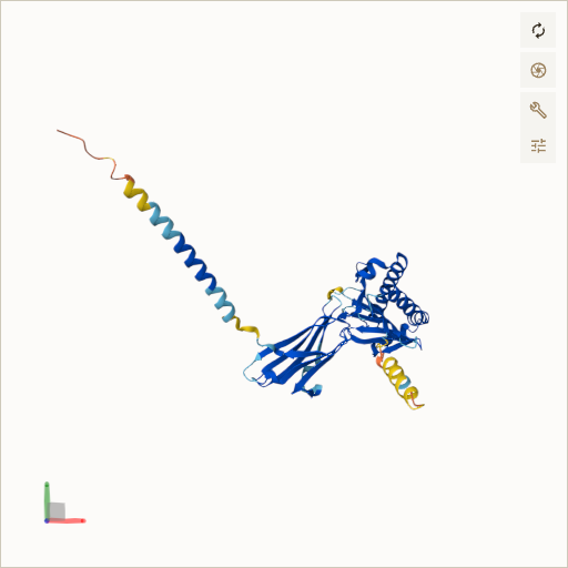 Predicted ribbon structure of HFE (Q30201) — coloured by sequence position from N-terminus (blue) to C-terminus (red)