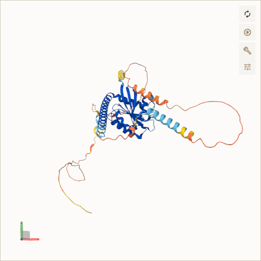 Predicted ribbon structure of ARL13B (Q3SXY8) — coloured by sequence position from N-terminus (blue) to C-terminus (red)