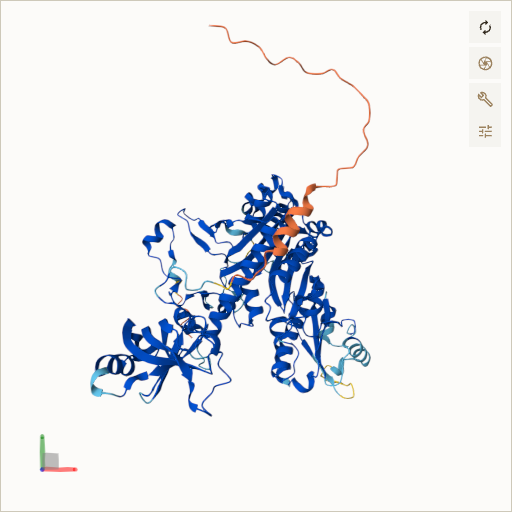 Predicted ribbon structure of DARS2 (Q6PI48) — coloured by sequence position from N-terminus (blue) to C-terminus (red)