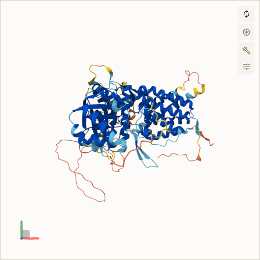 Predicted ribbon structure of BBS12 (Q6ZW61) — coloured by sequence position from N-terminus (blue) to C-terminus (red)