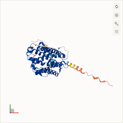Predicted ribbon structure of RRM2B (Q7LG56) — coloured by sequence position from N-terminus (blue) to C-terminus (red)